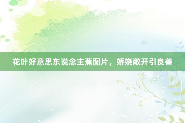 花叶好意思东说念主蕉图片，娇娆敞开引良善