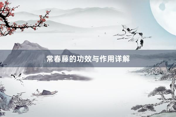 常春藤的功效与作用详解