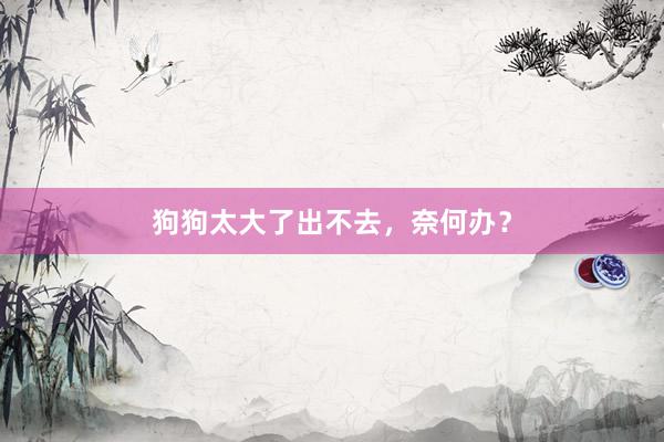 狗狗太大了出不去，奈何办？
