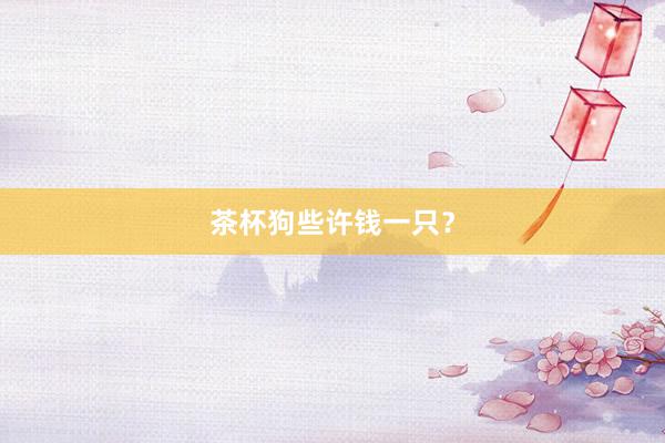茶杯狗些许钱一只？